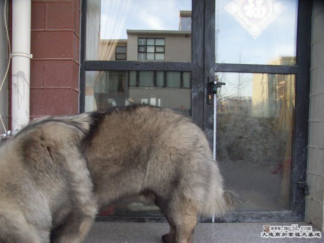 RIMG0131_СС.JPG