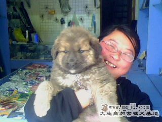 20080311_da83db16b17862100f21BEAGzKORc1Cq.jpg