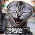 ֯֯.gif