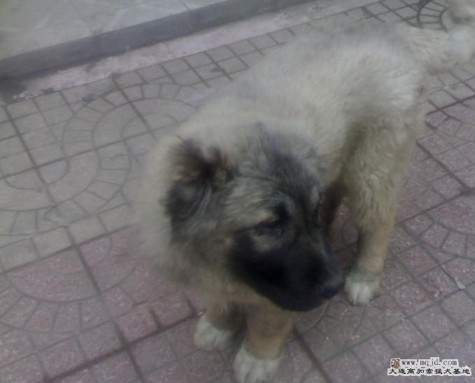 20080322126.JPG