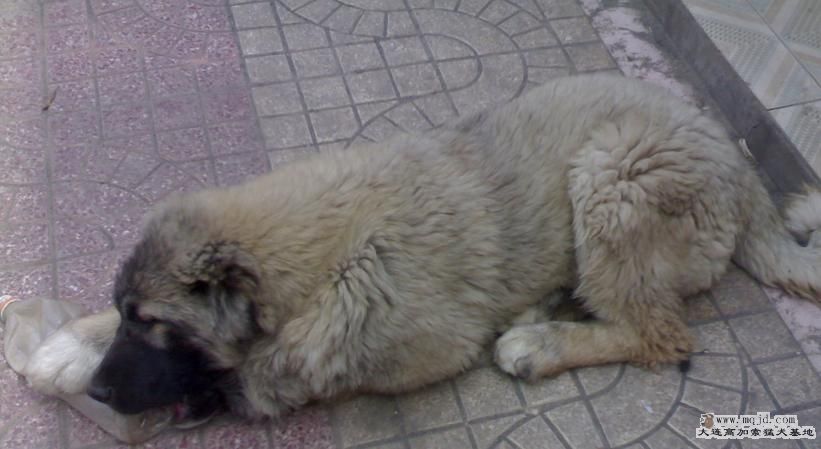 20080401170.JPG