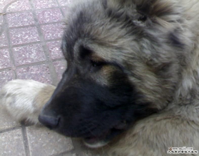 20080401174.JPG