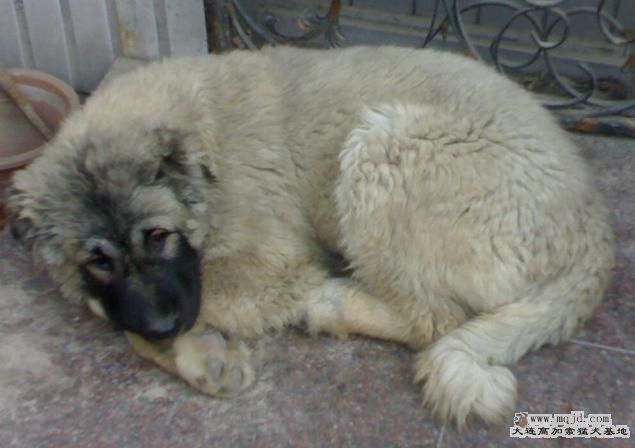 20080330158.JPG