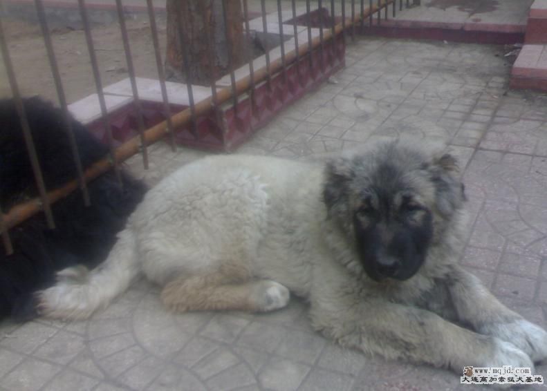 20080322131.JPG