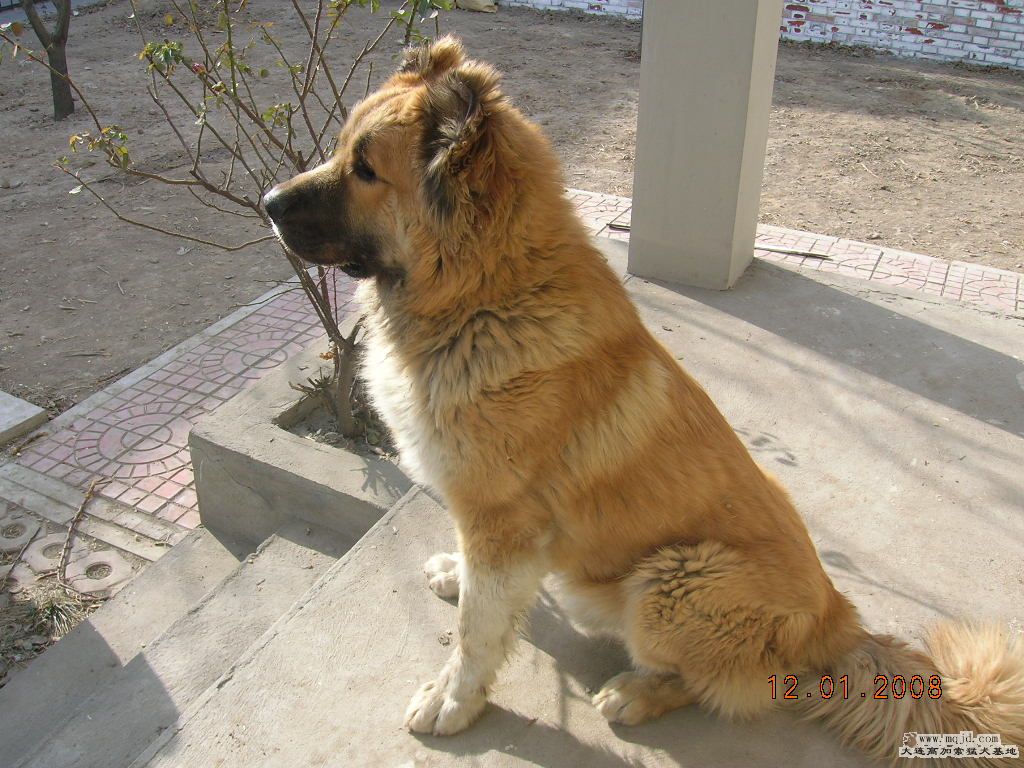 DSCN2470.JPG