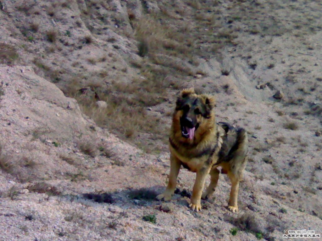 20080306009.jpg