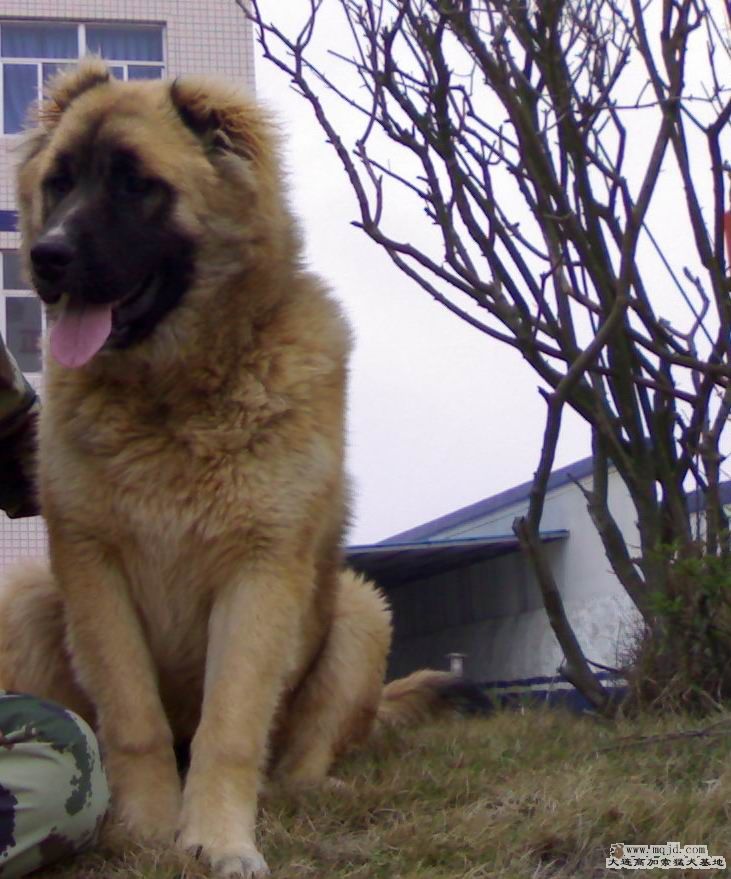 20080330063.jpg