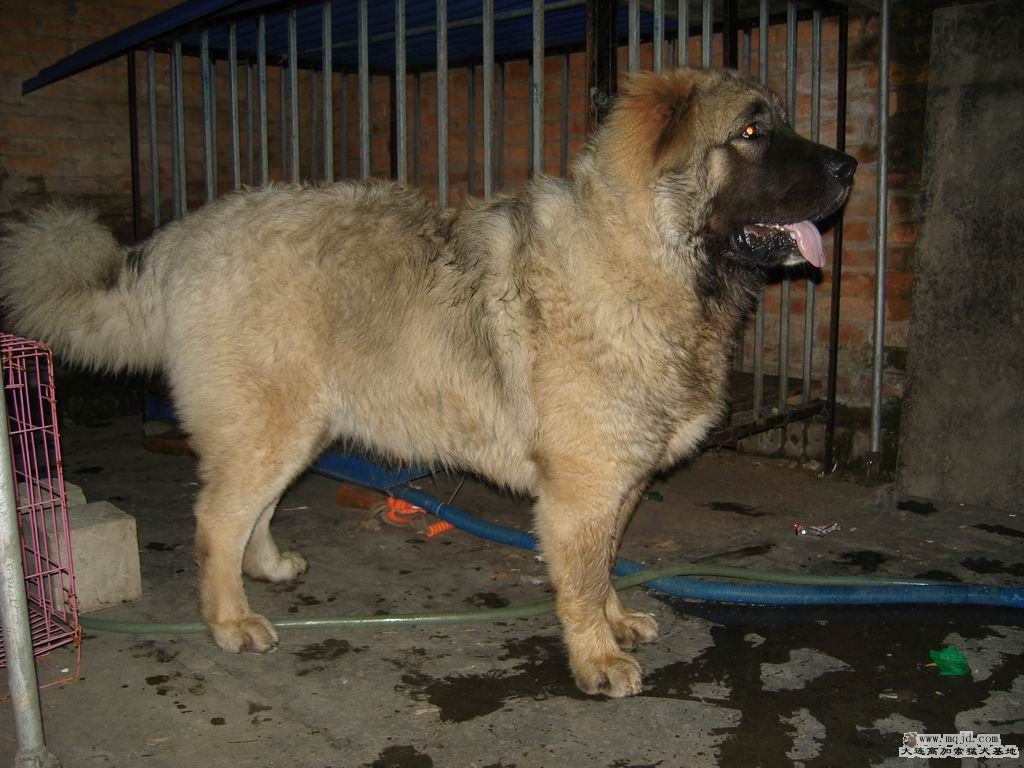 С SNV81252.JPG