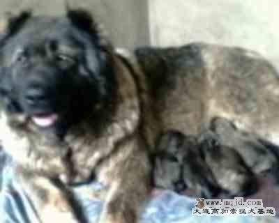 IMG0030A.jpg