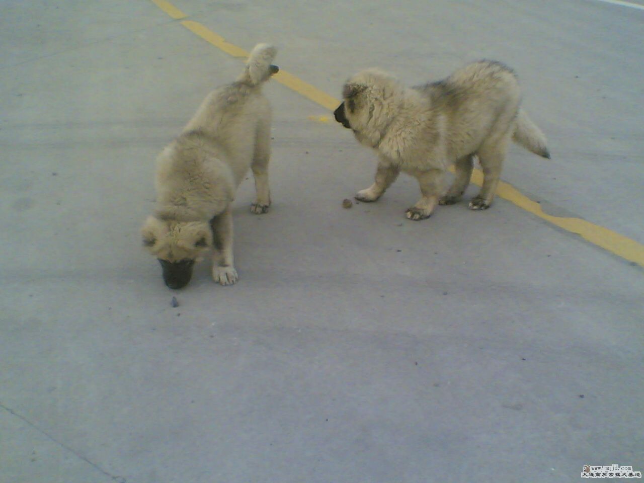 20080420(002).jpg