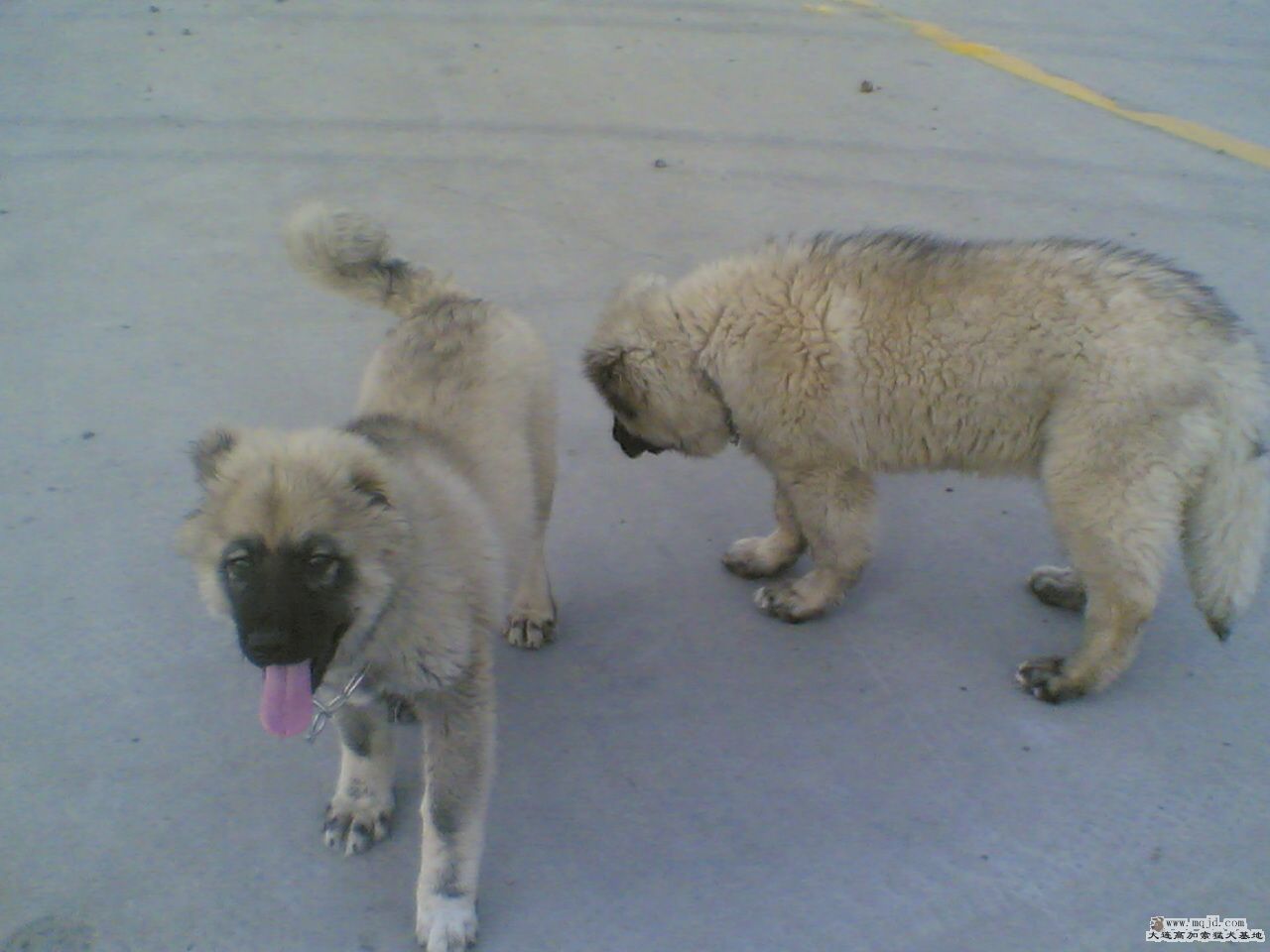 20080420(003).jpg