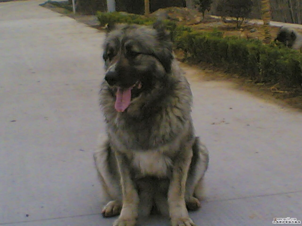 20080317(006).jpg