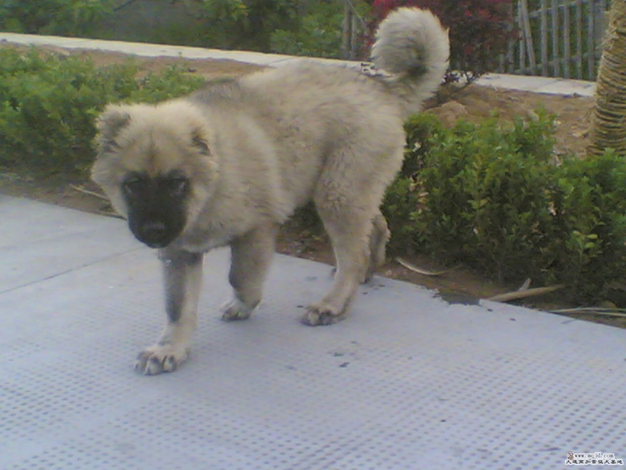 20080420(011).jpg