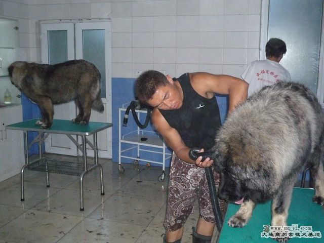 P1000034_СС.JPG