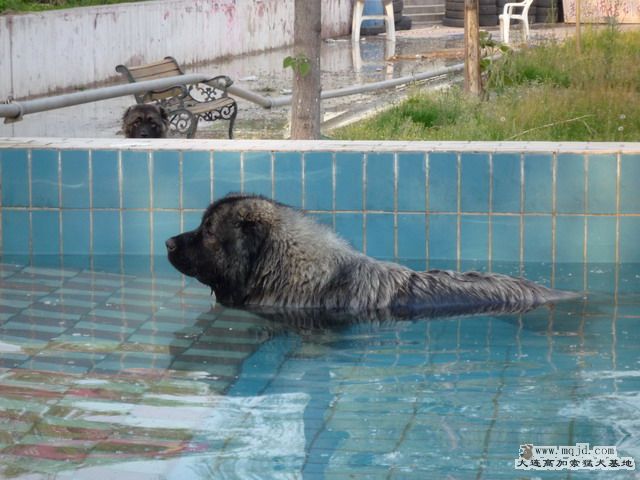 P1000012_СС.JPG