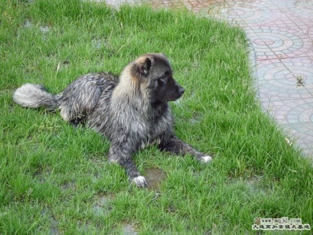 P1000018_СС.JPG