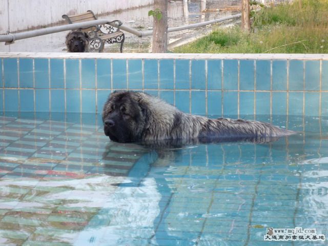P1000013_СС.JPG