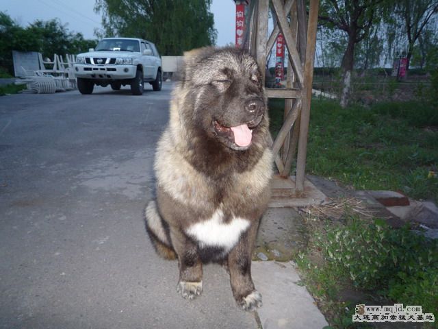 P1000041_СС.JPG