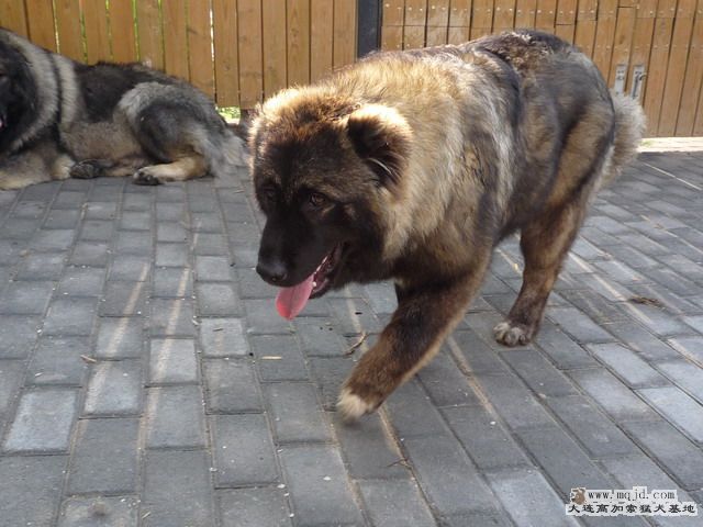 P1000061_СС.JPG