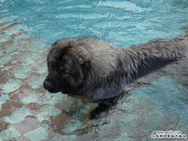 P1000022_СС.JPG