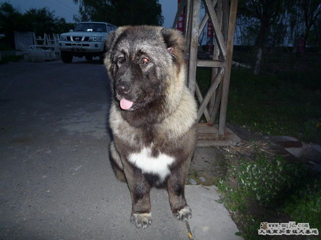 P1000042_СС.JPG