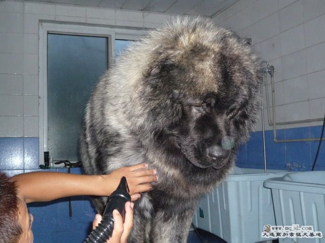 P1000039_СС.JPG