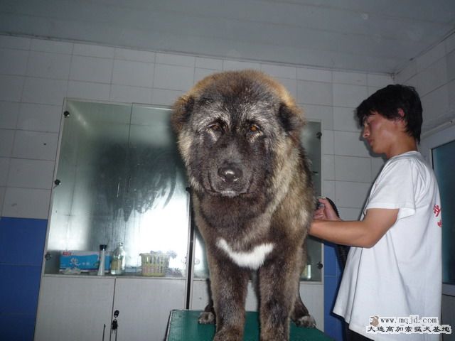 P1000024_СС.JPG