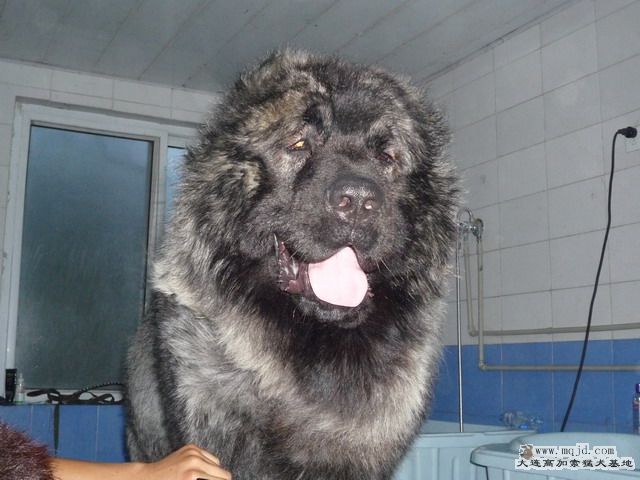 P1000038_СС.JPG
