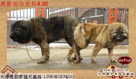 DSCF2507.jpg