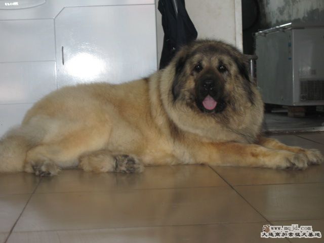 20080619_735fb41dfe25c2b6e235we5bCbUfYyVE.jpg