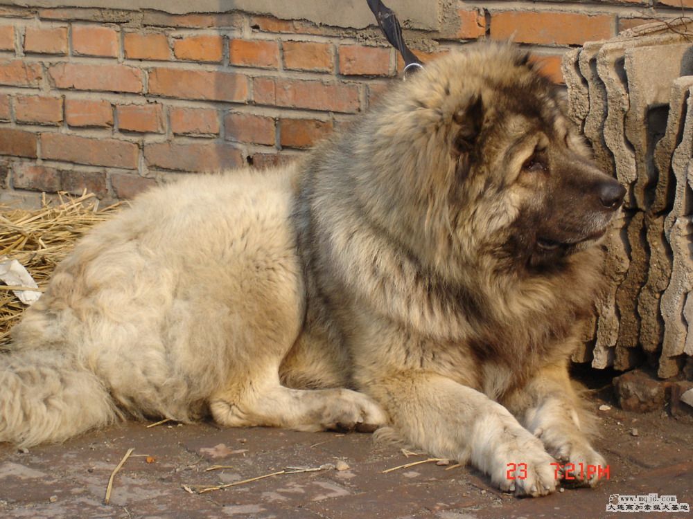 20080425_6bb3035e8fda642d3310fZUnQ3uXEwZD.jpg