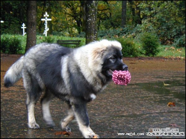 2007216205528.jpg