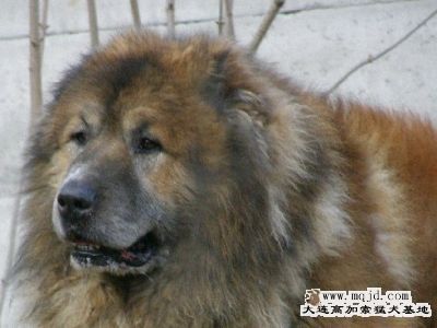 20071128_a4635ba7eeafc93778b5HUcqu7NqQS9z.jpg