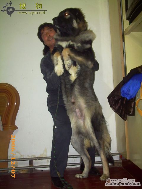 200741211561356827.jpg