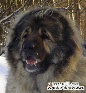 20071128_510f4fdb6fb6b528251alPR5SakdS2XZ.jpg
