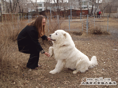 20080420_9d947dc7b2993d1b6c0bq5VP722KuWhE.gif