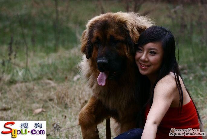 20080425_1d5692a1fa122a7bbd2a5bHz8BbTzQMq.jpg