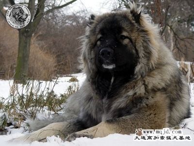 20071128_85b4e41ea10b387de8a0gVF7vtbwlJGk.jpg