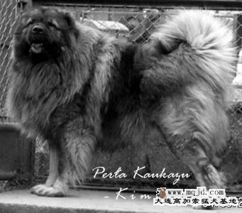 20080116_2a17f56c7497e44dcd95T2fD7a4pEABI.jpg