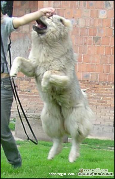 20061115132605.jpg