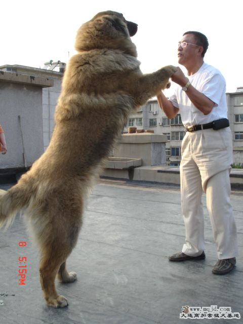 DSC07988.JPG