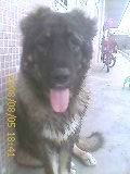 IMAGE_330.jpg