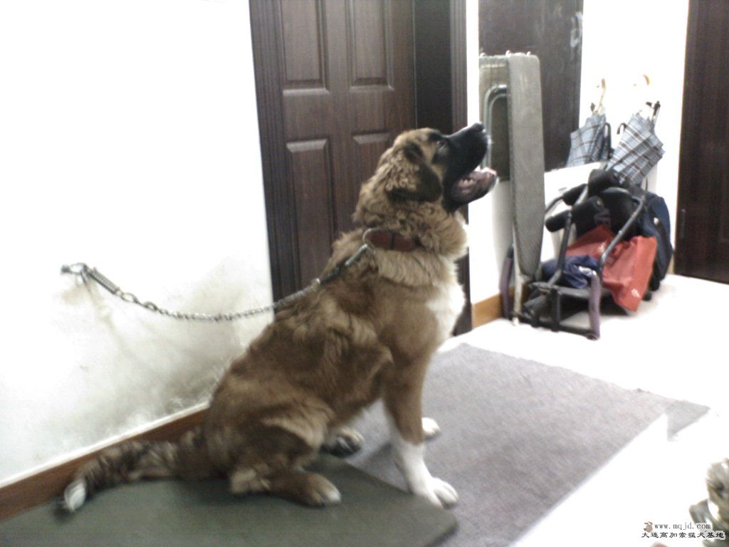 Ƭ-0018.jpg