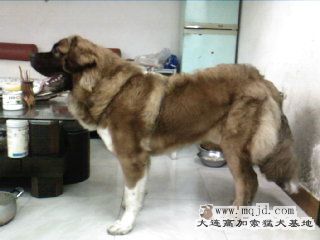  Ƭ-0048.jpg