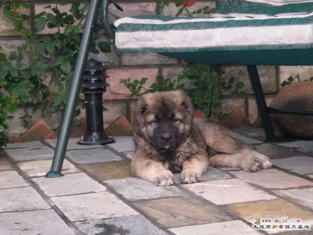DSCN0451.jpg