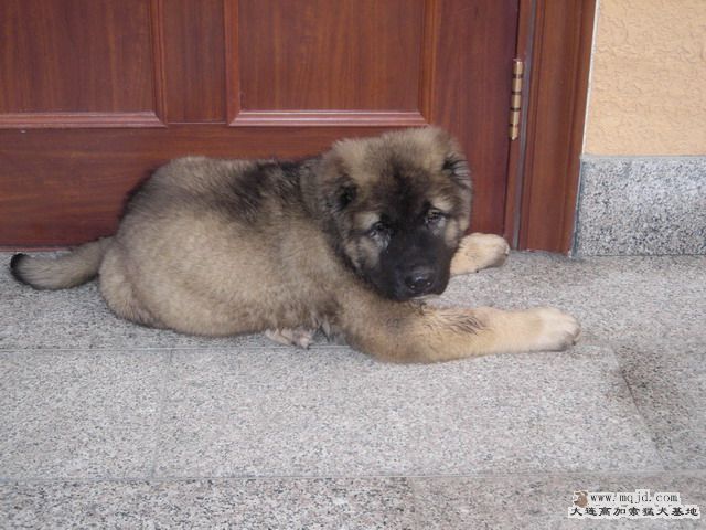 DSCN0464.jpg