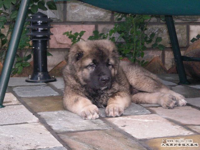 DSCN0452.jpg