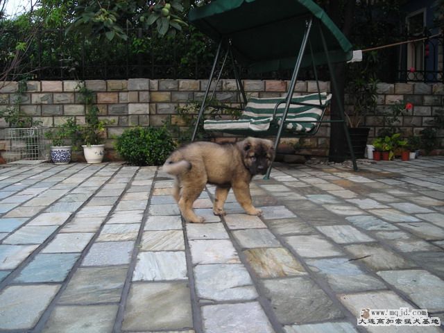 DSCN0449.jpg