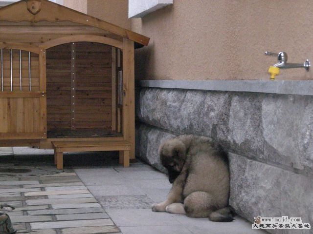DSCN0455.jpg