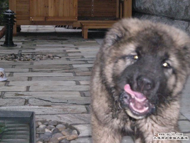 DSCN0456.jpg